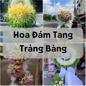 Đặt Hoa Đám Tang Trảng Bàng | Hoa Chia Buồn