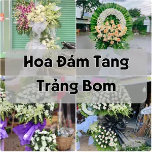 Đặt Hoa Đám Tang Trảng Bom | Hoa Tang Lễ