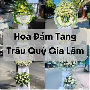 Đặt Hoa Đám Tang Trâu Quỳ Gia Lâm | Giao Hoa Nhanh