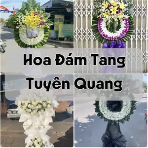 Đặt Hoa Đám Tang Tuyên Quang | Giao Tận Nơi