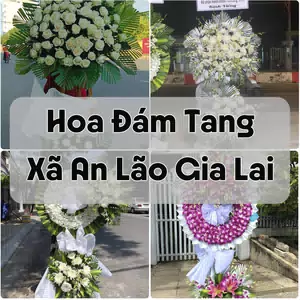 Đặt Hoa Đám Tang Xã An Lão Gia Lai | Hoa Chia Buồn