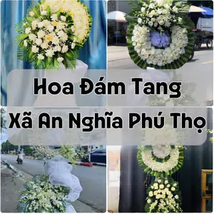 Đặt Hoa Đám Tang Xã An Nghĩa Phú Thọ | Hoa Chia Buồn