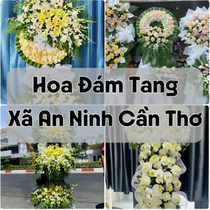 Đặt Hoa Đám Tang Xã An Ninh Cần Thơ | Hoa Chia Buồn
