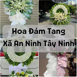 Đặt Hoa Đám Tang Xã An Ninh Tây Ninh | Đặt Hoa Viếng