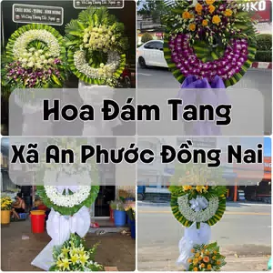 Đặt Hoa Đám Tang Xã An Phước Đồng Nai | Hoa Chia Buồn