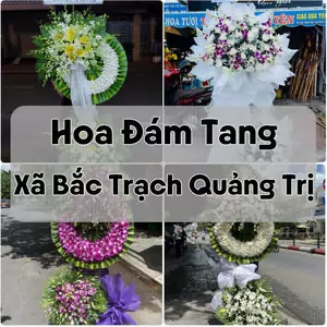 Đặt Hoa Đám Tang Xã Bắc Trạch Quảng Trị | Đặt Hoa Nhanh