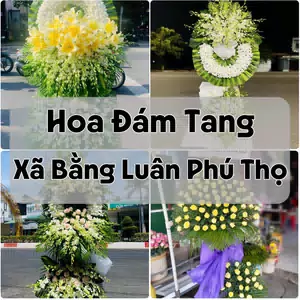 Đặt Hoa Đám Tang Xã Bằng Luân Phú Thọ | Giao Tận Nơi