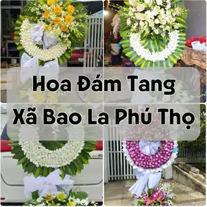 Đặt Hoa Đám Tang Xã Bao La Phú Thọ | Hoa Tang Lễ