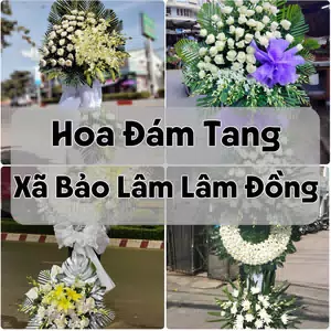 Đặt Hoa Đám Tang Xã Bảo Lâm Lâm Đồng | Hoa Tang Lễ