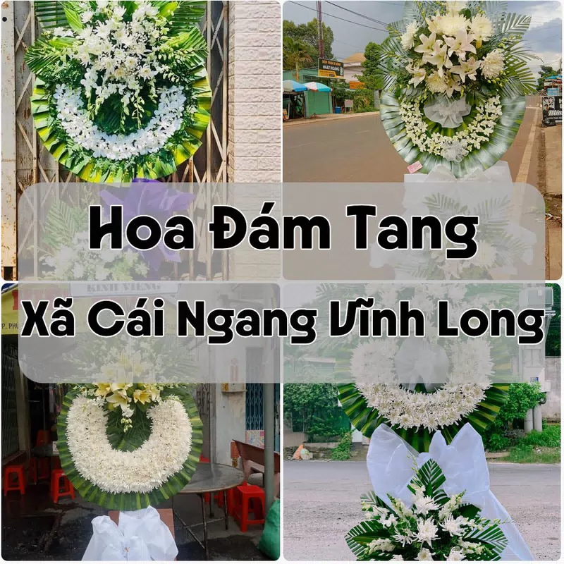 Đặt Hoa Đám Tang Xã Cái Ngang Vĩnh Long | Đặt Hoa Viếng