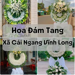 Đặt Hoa Đám Tang Xã Cái Ngang Vĩnh Long | Đặt Hoa Viếng