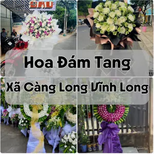 Đặt Hoa Đám Tang Xã Càng Long Vĩnh Long | Giao Tận Nơi