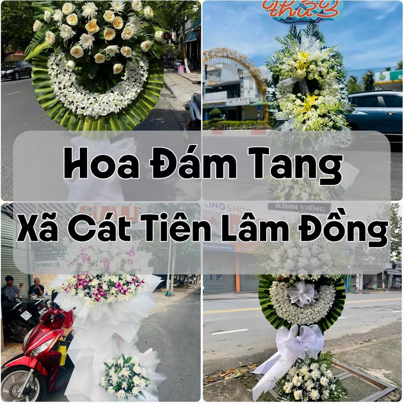 Đặt Hoa Đám Tang Xã Cát Tiên Lâm Đồng | Đặt Hoa Viếng