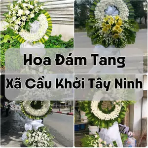 Đặt Hoa Đám Tang Xã Cầu Khởi Tây Ninh | Hoa Tang Lễ