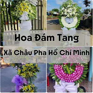 Đặt Hoa Đám Tang Xã Châu Pha Hồ Chí Minh | Hoa Chia Buồn