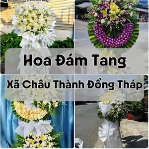 Đặt Hoa Đám Tang Xã Châu Thành Đồng Tháp | Hoa Chia Buồn