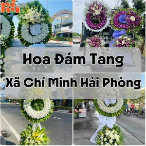 Đặt Hoa Đám Tang Xã Chí Minh Hải Phòng | Giao Tận Nơi