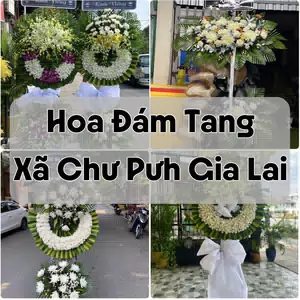 Đặt Hoa Đám Tang Xã Chư Pưh Gia Lai | Hoa Tang Lễ