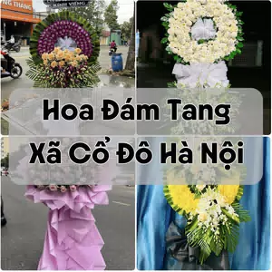 Đặt Hoa Đám Tang Xã Cổ Đô Hà Nội | Đặt Hoa Viếng
