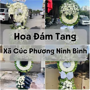 Đặt Hoa Đám Tang Xã Cúc Phương Ninh Bình | Đặt Hoa Nhanh