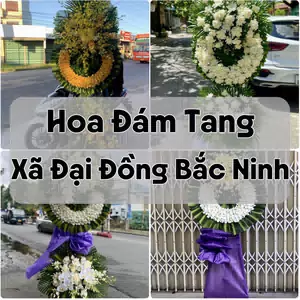 Đặt Hoa Đám Tang Xã Đại Đồng Bắc Ninh | Hoa Chia Buồn
