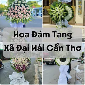 Đặt Hoa Đám Tang Xã Đại Hải Cần Thơ | Đặt Hoa Nhanh