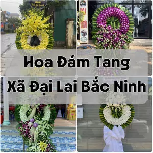 Đặt Hoa Đám Tang Xã Đại Lai Bắc Ninh | Đặt Hoa Nhanh
