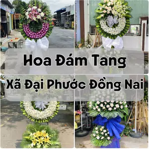 Đặt Hoa Đám Tang Xã Đại Phước Đồng Nai | Đặt Hoa Nhanh