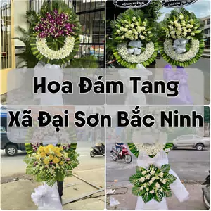 Đặt Hoa Đám Tang Xã Đại Sơn Bắc Ninh | Giao Tận Nơi