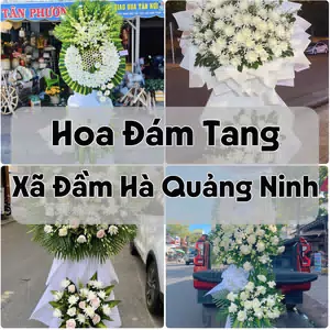 Đặt Hoa Đám Tang Xã Đầm Hà Quảng Ninh | Hoa Chia Buồn