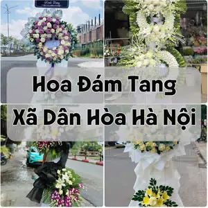Đặt Hoa Đám Tang Xã Dân Hòa Hà Nội | Hoa Chia Buồn