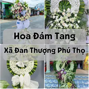 Đặt Hoa Đám Tang Xã Đan Thượng Phú Thọ | Đặt Hoa Nhanh
