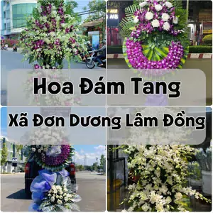 Đặt Hoa Đám Tang Xã Đơn Dương Lâm Đồng | Hoa Tang Lễ