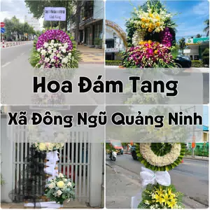 Đặt Hoa Đám Tang Xã Đông Ngũ Quảng Ninh | Đặt Hoa Viếng