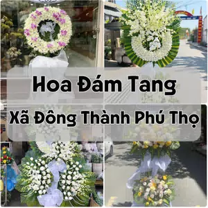 Đặt Hoa Đám Tang Xã Đông Thành Phú Thọ | Đặt Hoa Nhanh