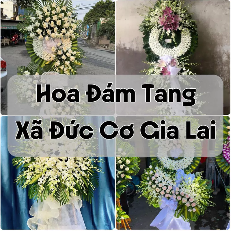 Đặt Hoa Đám Tang Xã Đức Cơ Gia Lai | Hoa Chia Buồn