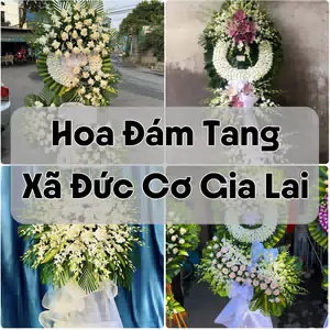 Đặt Hoa Đám Tang Xã Đức Cơ Gia Lai | Hoa Chia Buồn