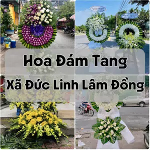 Đặt Hoa Đám Tang Xã Đức Linh Lâm Đồng | Giao Hoa Nhanh