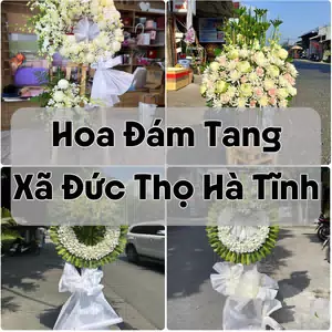 Đặt Hoa Đám Tang Xã Đức Thọ Hà Tĩnh | Hoa Tang Lễ
