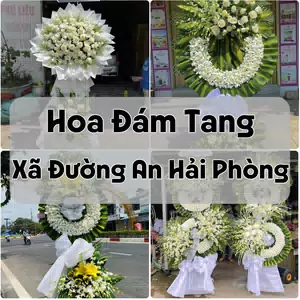 Đặt Hoa Đám Tang Xã Đường An Hải Phòng | Hoa Chia Buồn