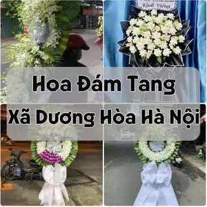 Đặt Hoa Đám Tang Xã Dương Hòa Hà Nội | Hoa Tang Lễ