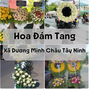 Đặt Hoa Đám Tang Xã Dương Minh Châu Tây Ninh | Đặt Hoa Nhanh