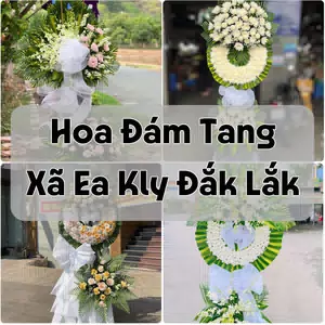 Đặt Hoa Đám Tang Xã Ea Kly Đắk Lắk | Đặt Hoa Nhanh