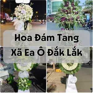 Đặt Hoa Đám Tang Xã Ea Ô Đắk Lắk | Hoa Chia Buồn