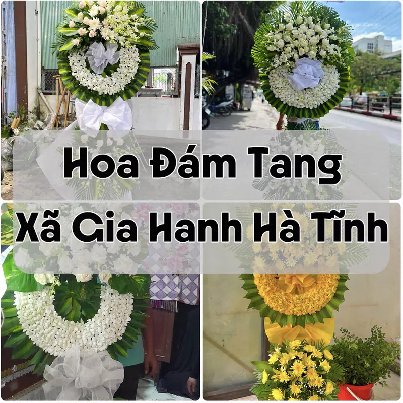 Đặt Hoa Đám Tang Xã Gia Hanh Hà Tĩnh | Giao Tận Nơi