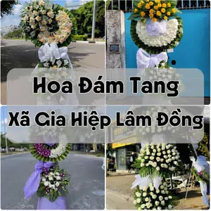 Đặt Hoa Đám Tang Xã Gia Hiệp Lâm Đồng | Hoa Chia Buồn