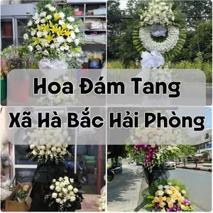 Đặt Hoa Đám Tang Xã Hà Bắc Hải Phòng | Giao Hoa Nhanh