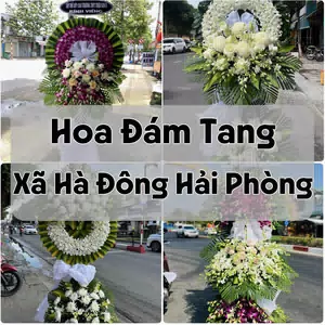 Đặt Hoa Đám Tang Xã Hà Đông Hải Phòng | Giao Hoa Nhanh