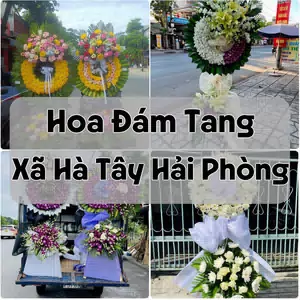 Đặt Hoa Đám Tang Xã Hà Tây Hải Phòng | Đặt Hoa Viếng