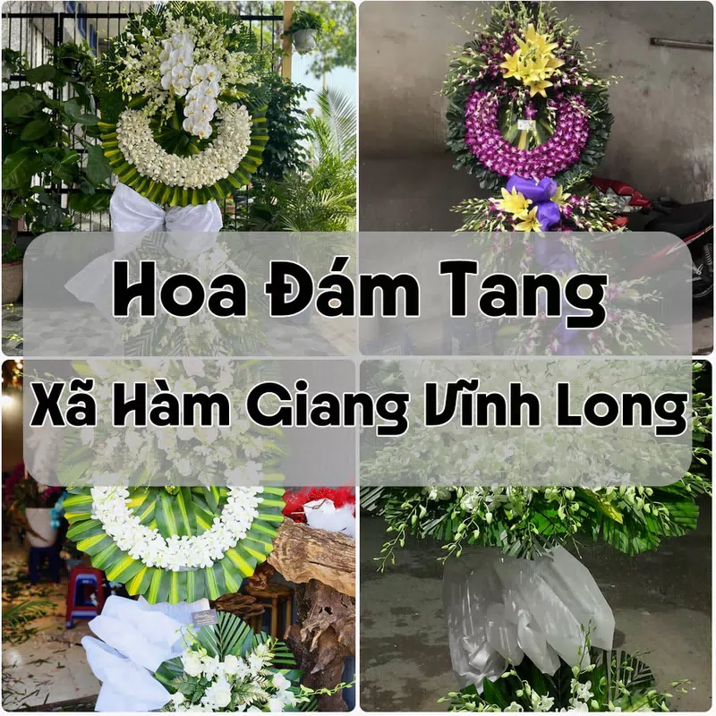 Đặt Hoa Đám Tang Xã Hàm Giang Vĩnh Long | Hoa Chia Buồn